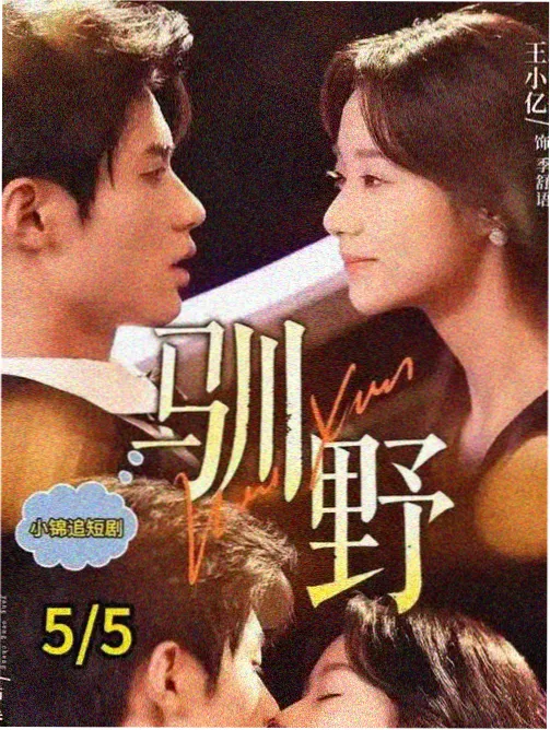 双女主图鉴 第三方观察者角色